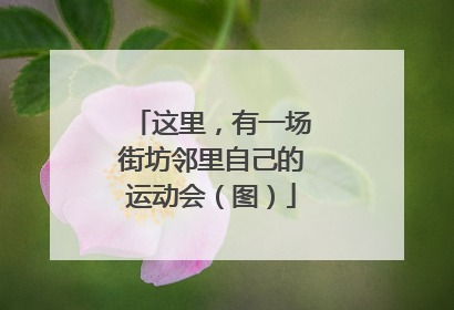 这里，有一场街坊邻里自己的运动会（图）