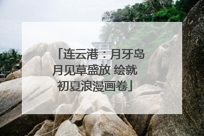 连云港：月牙岛月见草盛放 绘就初夏浪漫画卷