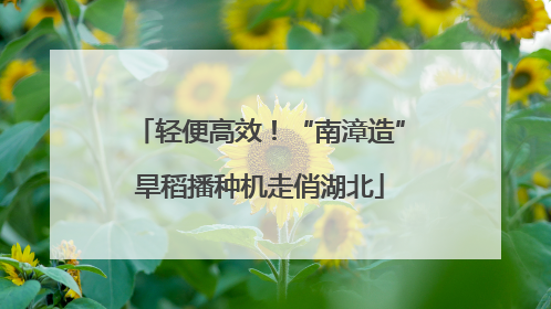 轻便高效！“南漳造”旱稻播种机走俏湖北