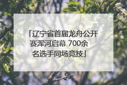 辽宁省首届龙舟公开赛浑河启幕 700余名选手同场竞技