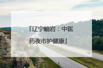 辽宁岫岩：中医药夜市护健康