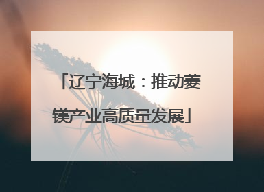 辽宁海城：推动菱镁产业高质量发展