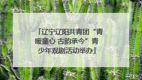 辽宁辽阳共青团“青暖童心 古韵承今”青少年观剧活动举办