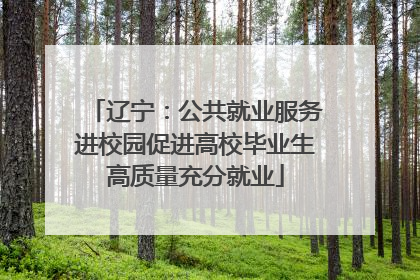 辽宁：公共就业服务进校园促进高校毕业生高质量充分就业