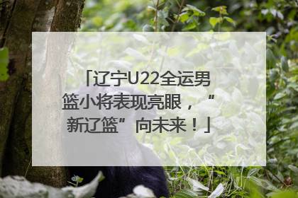 辽宁U22全运男篮小将表现亮眼，“新辽篮”向未来！