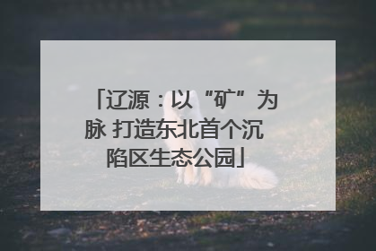 辽源：以“矿”为脉 打造东北首个沉陷区生态公园