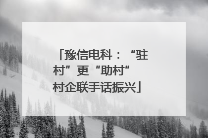 豫信电科：“驻村”更“助村” 村企联手话振兴