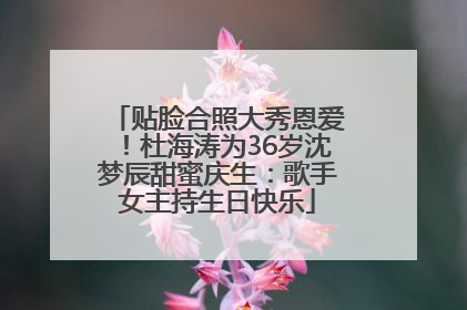 贴脸合照大秀恩爱！杜海涛为36岁沈梦辰甜蜜庆生：歌手女主持生日快乐