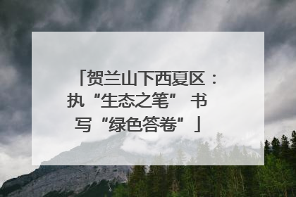贺兰山下西夏区：执“生态之笔” 书写“绿色答卷”