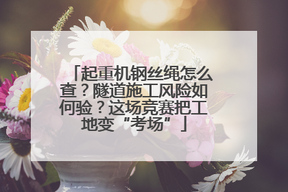 起重机钢丝绳怎么查？隧道施工风险如何验？这场竞赛把工地变“考场”