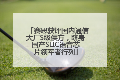 赛思获评国内通信大厂S级供方，跻身国产SLIC语音芯片领军者行列