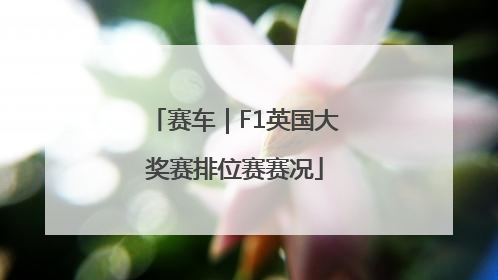 赛车｜F1英国大奖赛排位赛赛况