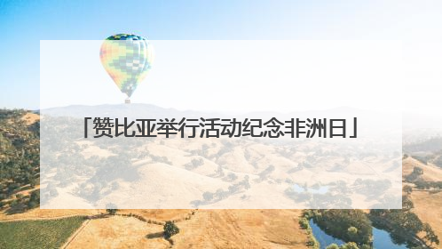 赞比亚举行活动纪念非洲日