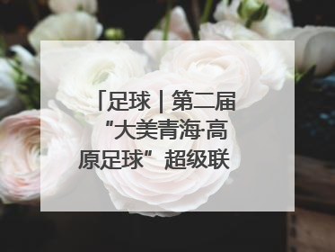 足球｜第二届“大美青海·高原足球”超级联赛西宁开赛
