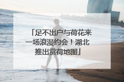 足不出户与荷花来一场浪漫约会！湖北推出赏荷地图