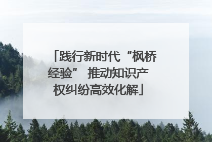 践行新时代“枫桥经验” 推动知识产权纠纷高效化解