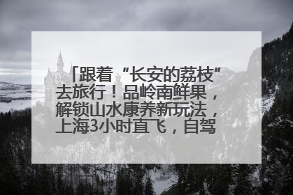 跟着“长安的荔枝”去旅行！品岭南鲜果，解锁山水康养新玩法，上海3小时直飞，自驾高速费优惠
