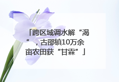 跨区域调水解“渴”，古邵镇10万余亩农田获“甘霖”