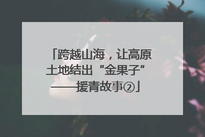 跨越山海，让高原土地结出“金果子”——援青故事②
