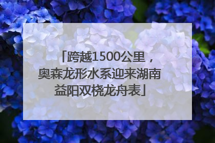 跨越1500公里，奥森龙形水系迎来湖南益阳双桡龙舟表