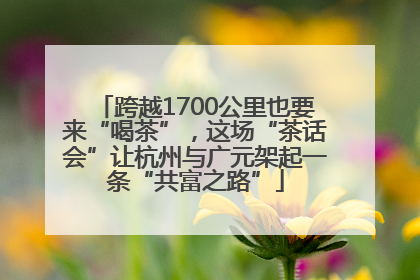 跨越1700公里也要来“喝茶”，这场“茶话会”让杭州与广元架起一条“共富之路”