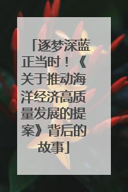逐梦深蓝正当时！《关于推动海洋经济高质量发展的提案》背后的故事