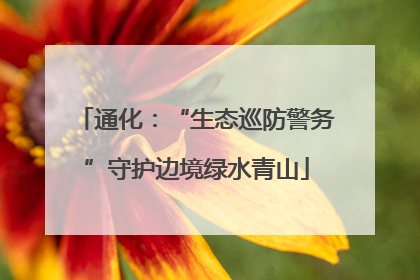 通化：“生态巡防警务”守护边境绿水青山