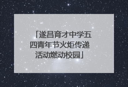 遂昌育才中学五四青年节火炬传递活动燃动校园