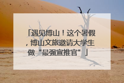 遇见博山！这个暑假，博山文旅邀请大学生做“最强宣推官”