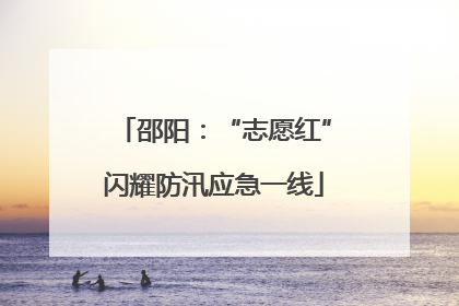 邵阳：“志愿红”闪耀防汛应急一线