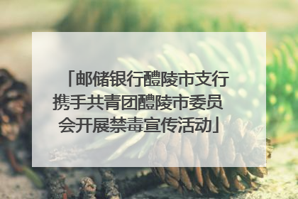 邮储银行醴陵市支行携手共青团醴陵市委员会开展禁毒宣传活动