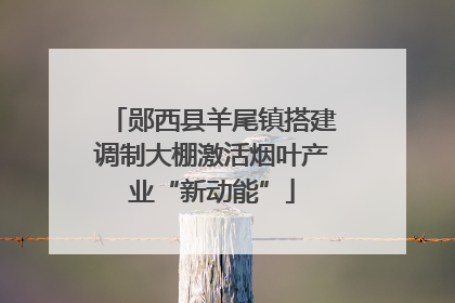 郧西县羊尾镇搭建调制大棚激活烟叶产业“新动能”