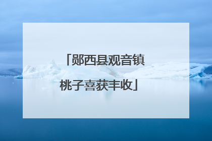 郧西县观音镇桃子喜获丰收