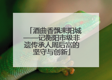 酒曲香飘耒阳城——记衡阳市级非遗传承人周后富的坚守与创新