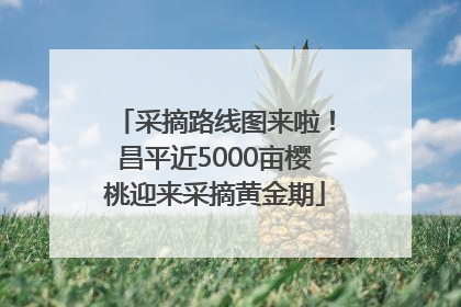 采摘路线图来啦！昌平近5000亩樱桃迎来采摘黄金期