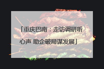 重庆巴南：走访调研听心声 助企破局谋发展