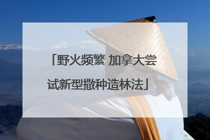 野火频繁 加拿大尝试新型撒种造林法