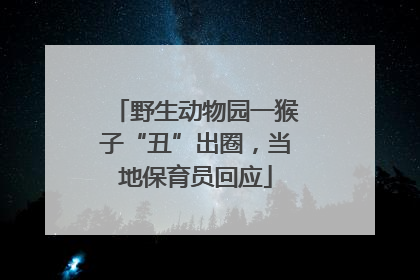 野生动物园一猴子“丑”出圈，当地保育员回应