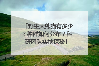 野生大熊猫有多少？种群如何分布？科研团队实地探秘