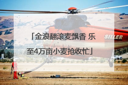 金浪翻滚麦飘香 乐至4万亩小麦抢收忙