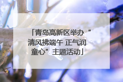 青岛高新区举办“清风拂端午 正气润童心”主题活动
