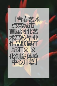 青春艺术点亮城市 首届河北艺术高校毕业作品联展在新汇文·文化创意体验中心开幕