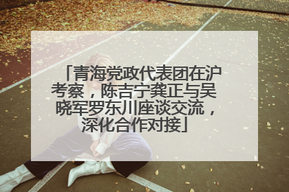青海党政代表团在沪考察，陈吉宁龚正与吴晓军罗东川座谈交流，深化合作对接