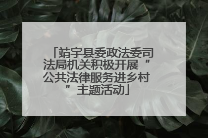 靖宇县委政法委司法局机关积极开展“公共法律服务进乡村”主题活动