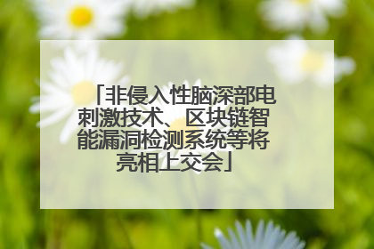 非侵入性脑深部电刺激技术、区块链智能漏洞检测系统等将亮相上交会