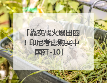 靠实战火爆出圈！印尼考虑购买中国歼-10