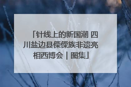 针线上的新国潮 四川盐边县傈僳族非遗亮相西博会｜图集