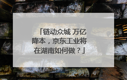 链动众城 万亿降本，京东工业将在湖南如何做？
