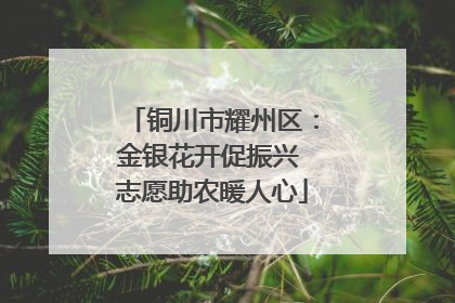铜川市耀州区：金银花开促振兴 志愿助农暖人心
