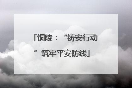 铜陵：“铸安行动”筑牢平安防线